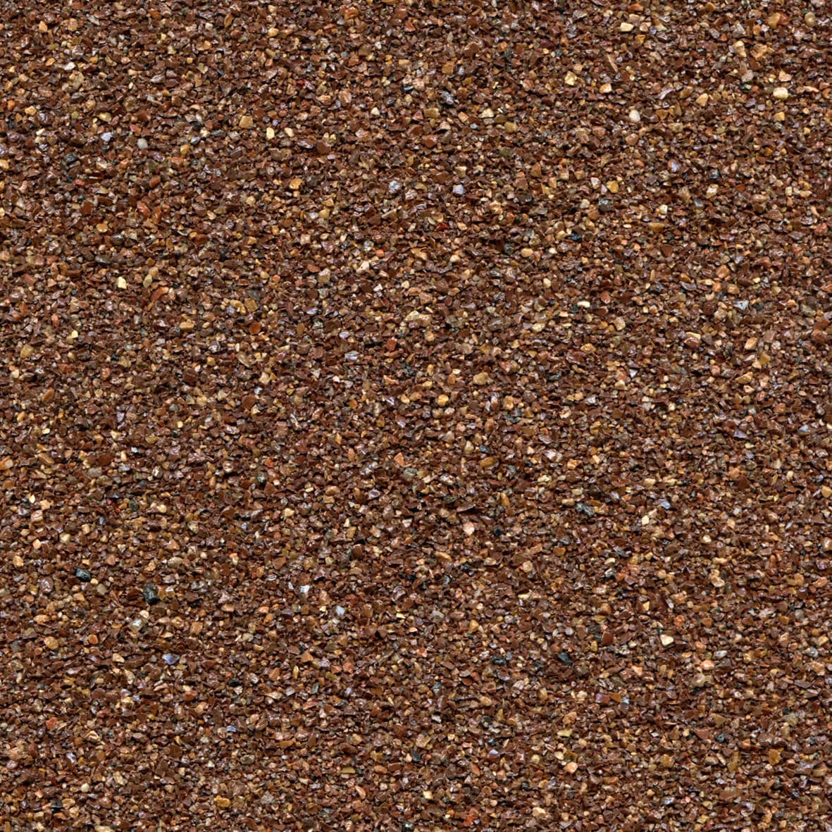 GERARD_101_CEDAR