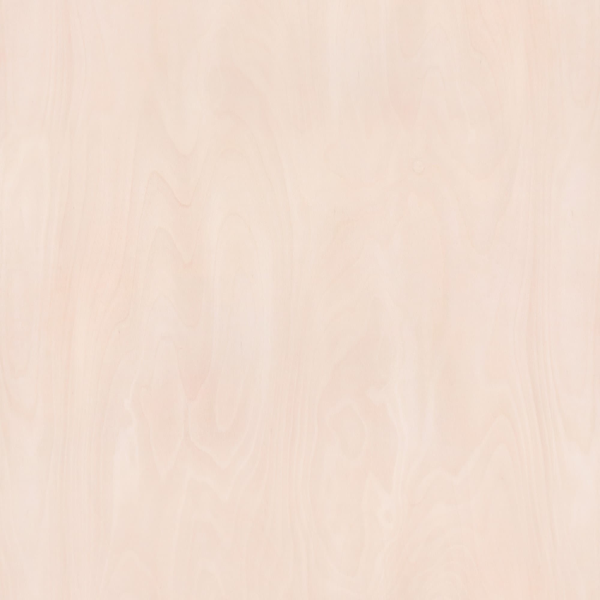 1_1_BEECH_ LACQUER_