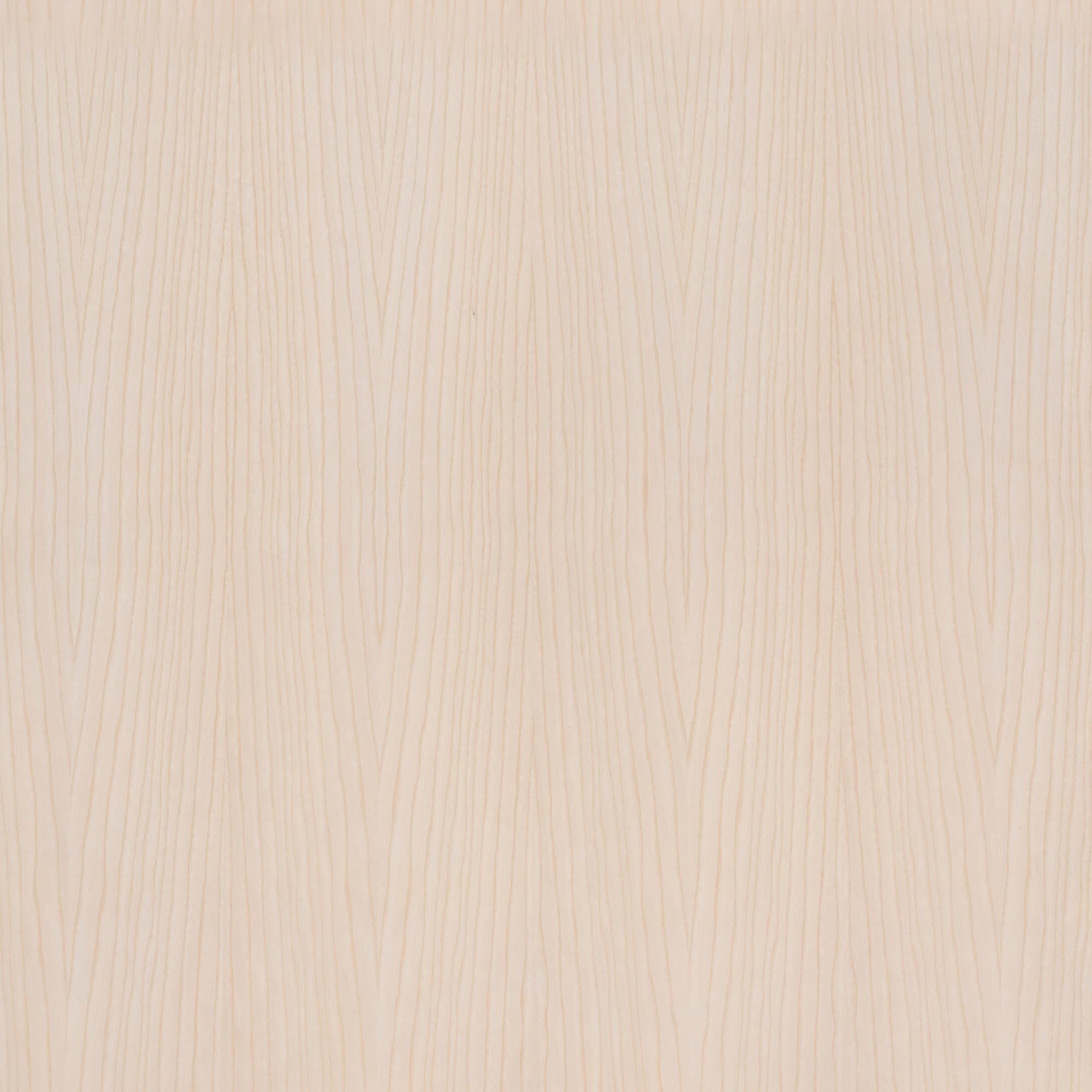 1_4_JESION_ LACQUER_