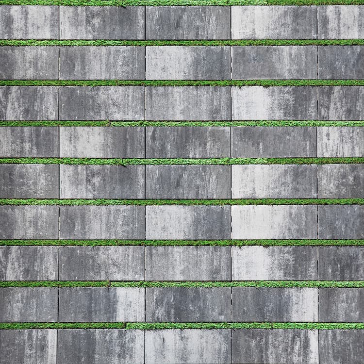 blurred background