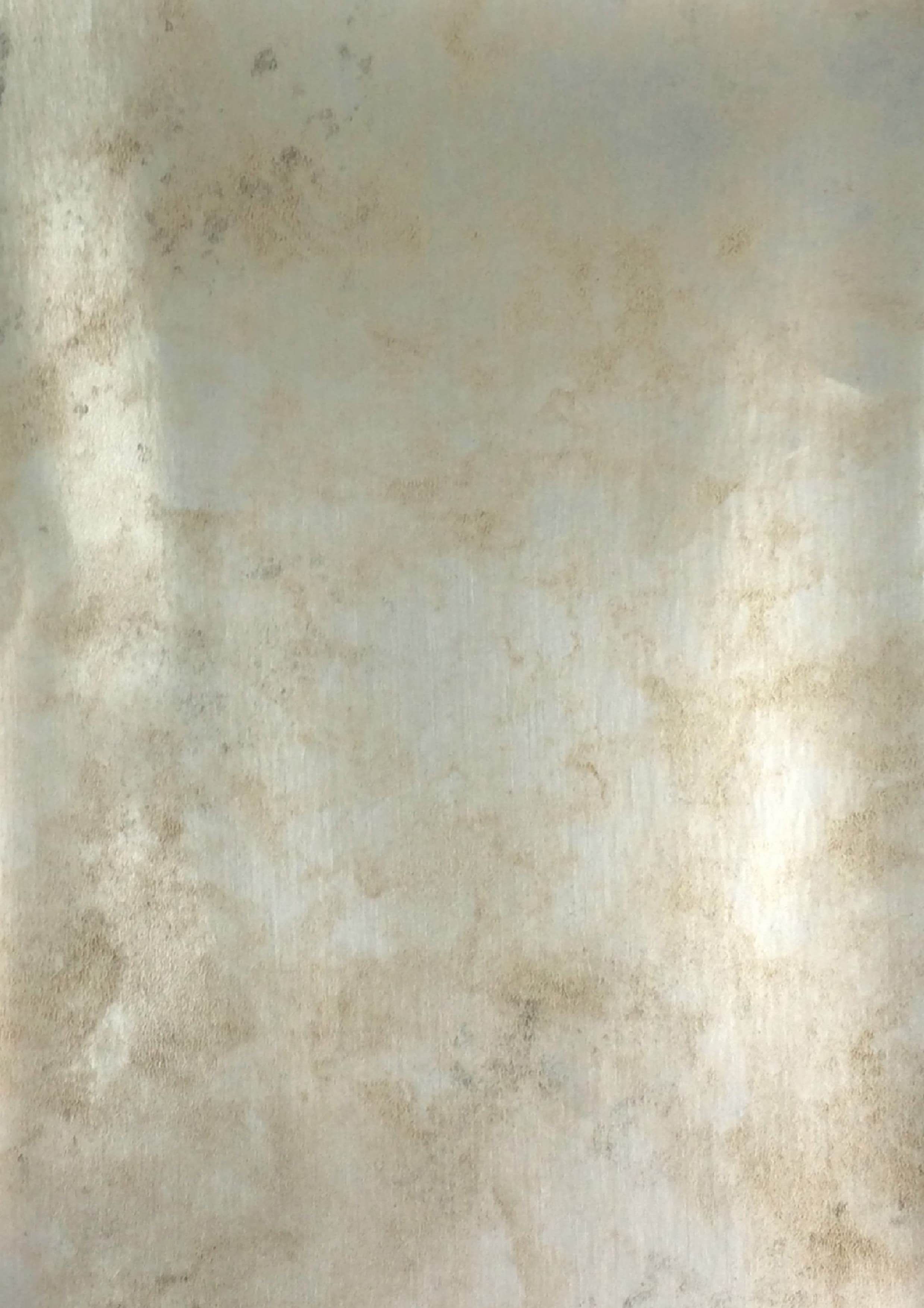10761 - Platinum Burnish