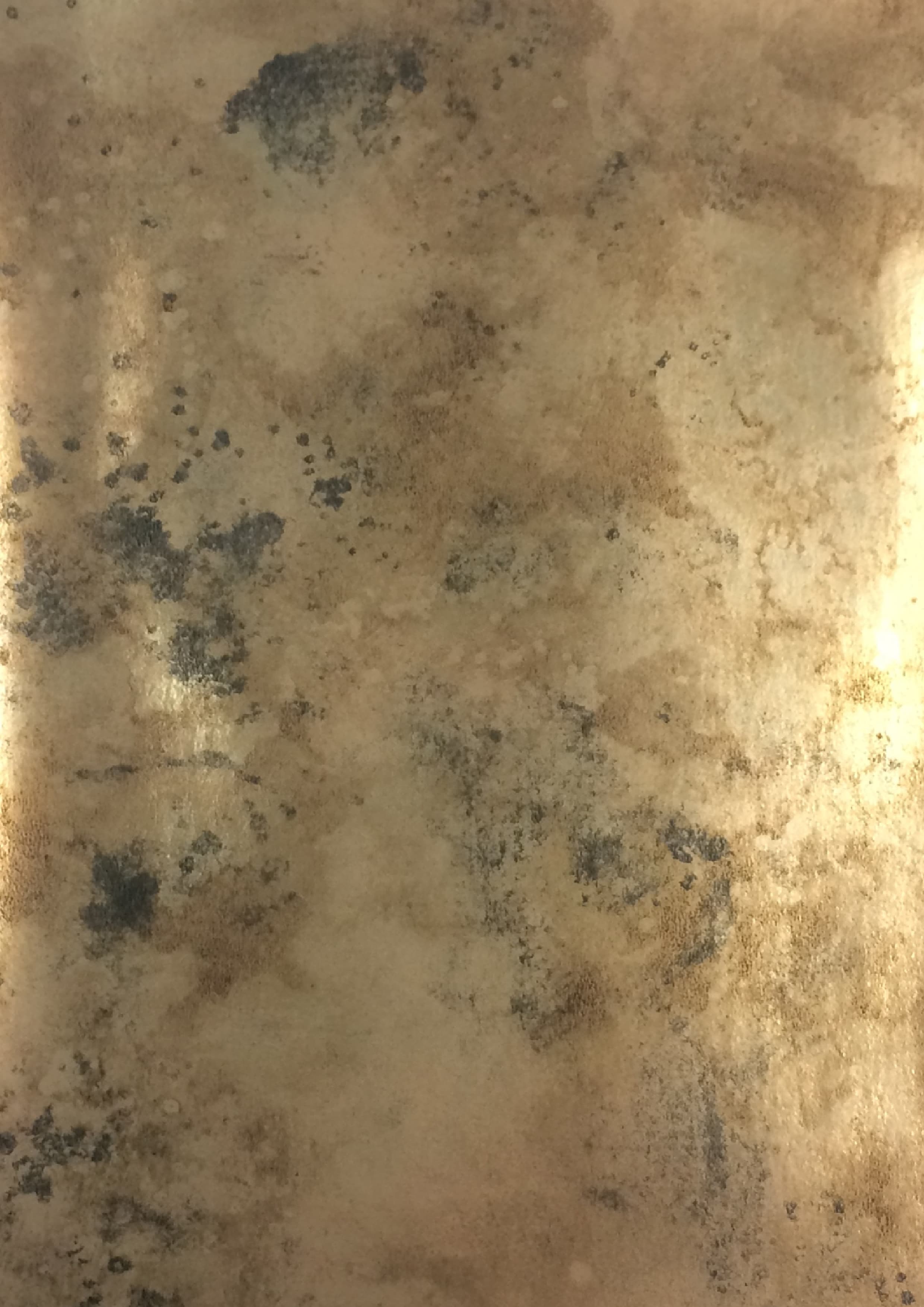 10760 - Platinum Burnish