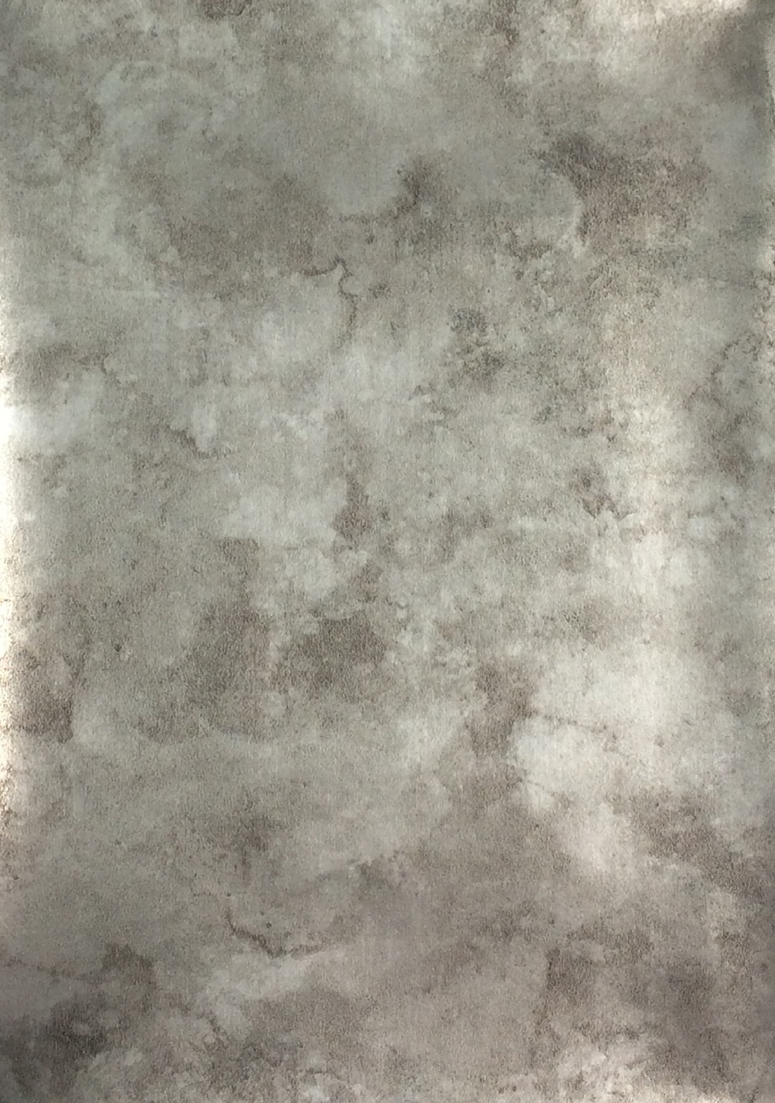 10762 - Platinum Burnish