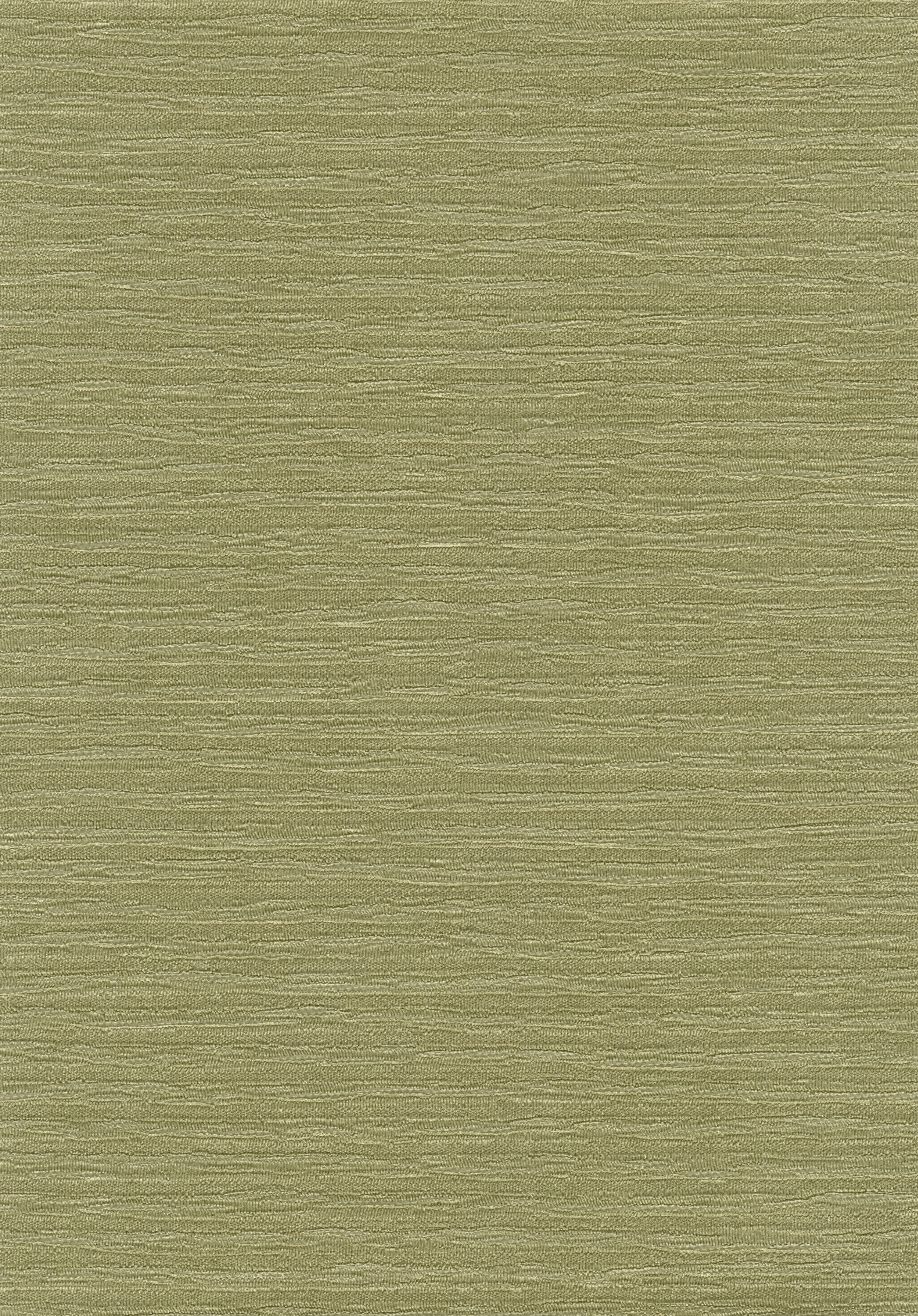 02E43 - Elan Zuri