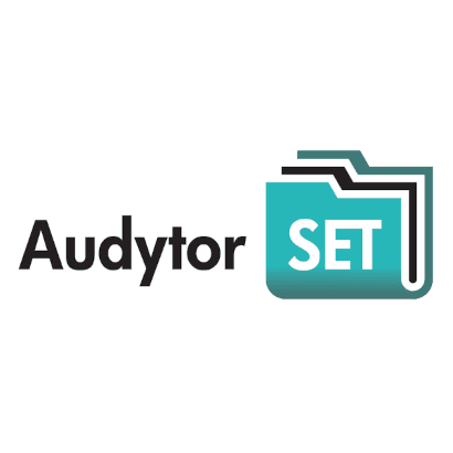 Auditor software – design support programmes